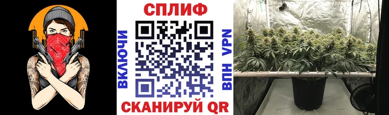 Бошки марихуана THC 21%  Сухой Лог 